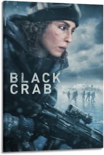 In a post-apocalyptic world, six soldiers on a covert mission must transport a mysterious package across a frozen archipelago.